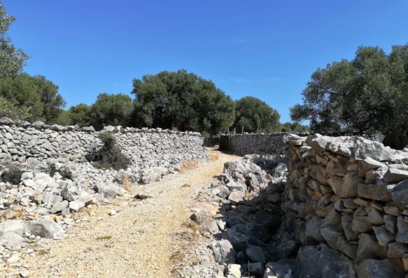 I muretti a secco nel paesaggio dell'isola di Pag