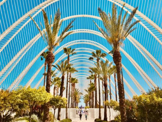 Umbracle nella Città delle Arti e delle Scienze a Valencia