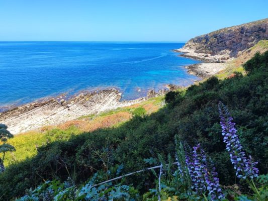 Cala Genovese a Levanzo Isole Egadi