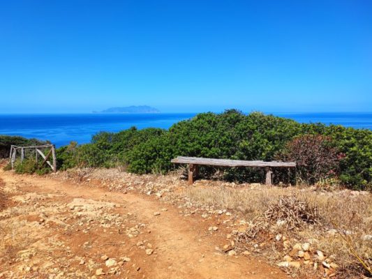 Il sentiero per Cala Genovese a Levanzo