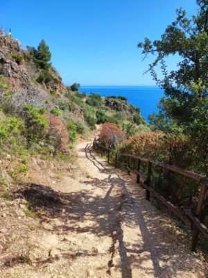 Il sentiero costiero nella Riserva Naturale dello Zingaro in Sicilia