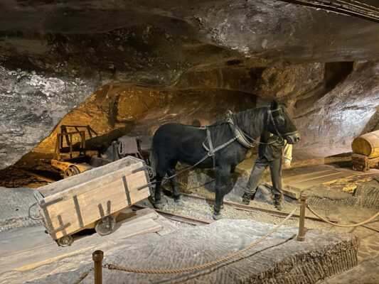 Cavallo e attrezzature per il trasporto del sale nella Miniera di Cracovia