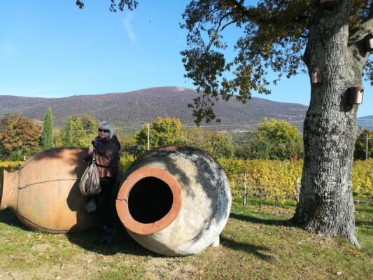 Podere dell'azienda Gravner a Oslavia