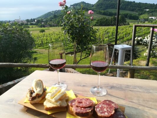 Aperitivo nell'Agriturismo Nonno Lince a Pradis