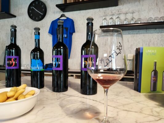 Degustazione vini alla Cantina Radikon di Oslavia