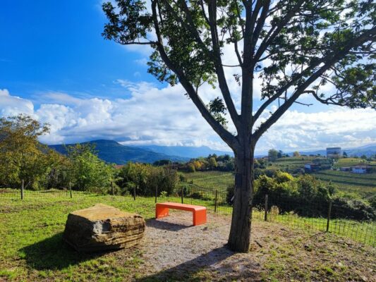 Panorama lungo il percorso delle Panchine Arancioni di Oslavia