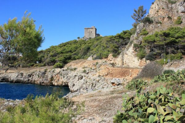 Torre dell'Alto Parco Naturale di Porto Selvaggio