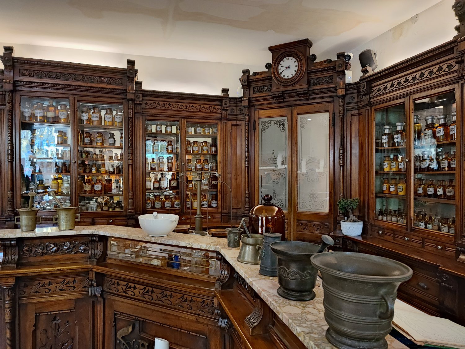 Il Museo della Farmacia Colutta a Udine
