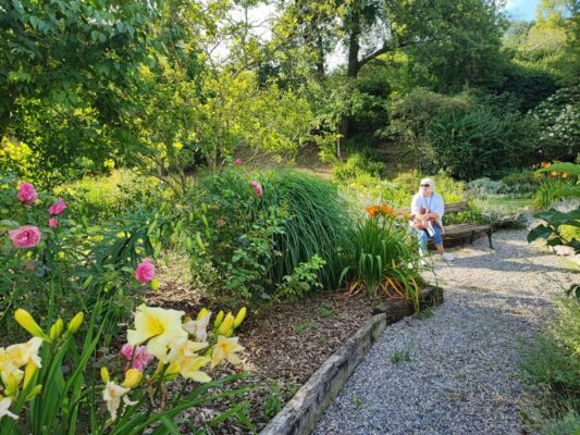 Le aiuole delle rose nel Giardino Viatori a Gorizia