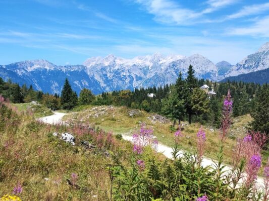 Panorama sulle Kamniško Savinjske Alpe