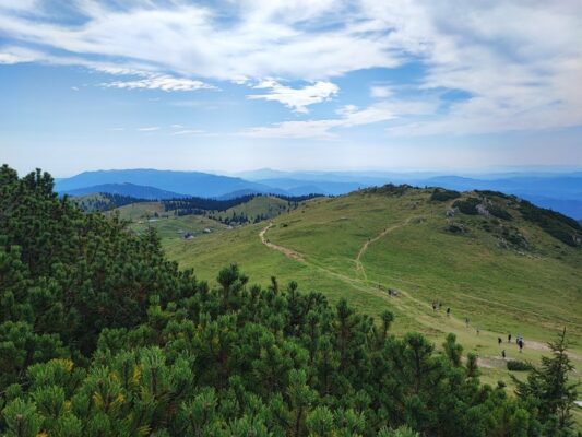 Rete di sentieri a Velika Planina